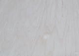3 / 4 " Maple合板で2 ' x4 '