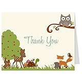 Forest Animals Thank You Cards Baby Shower Birthday Blue Boys Fox Owl Blue Boys 50 Printed Folding N