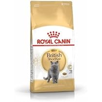Amazon | ロイヤルカナン FBN シャム 成猫用 2kg | ロイヤルカナン