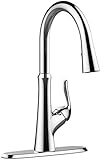 Premier 3558066 Creswell single-handle Concealedプルダウンキッチン蛇口、クロム