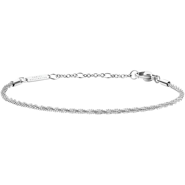 Amazon | [ダニエルウェリントン] ブレスレット DW00400169