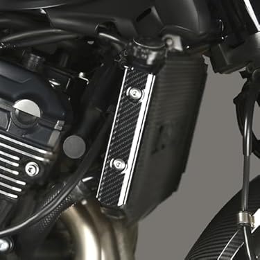 オートバイのラジエータータンクカバー CRF300L 2021-2022