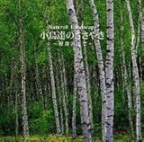 ���g�E1/f�̂�炬 Natural Landscape �����B�̂����₫�`�y���ɂ�