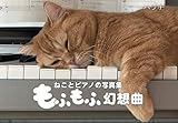 ねことピアノの写真集 もふもふ幻想曲