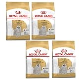 ロイヤルカナン BHN マルチーズ 成犬・高齢犬用 1.5kg×4個セット ニューパッケージ