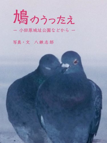 鳩のうったえ 鳩のうったえ