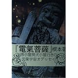 電気菩薩―豚小屋発犬小屋行きの因果宇宙オデッセイ〈上〉