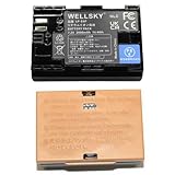 WELLSKY LP-E6P LP-E6NH LP-E6N LP-E6 2個 互換バッテリー 端子保護カバー付き [ 純正品と同じよう使用可能 純正充電器で充電可能 残量表示可能 ] キヤノン イオス EOS R5 Mark II/CF-R20EP / BG-R20 / BG-R20EP / EOS C50 / EOS R6 Mark III