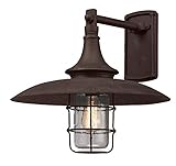 Troy Lighting Allegany 15.5"H 1-Light Outdoor Wall Light - Centennial Rust Finish with Clear Histori
