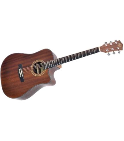 Amazon | PLAYTECH (プレイテック) ミニアコースティックギター 600mm