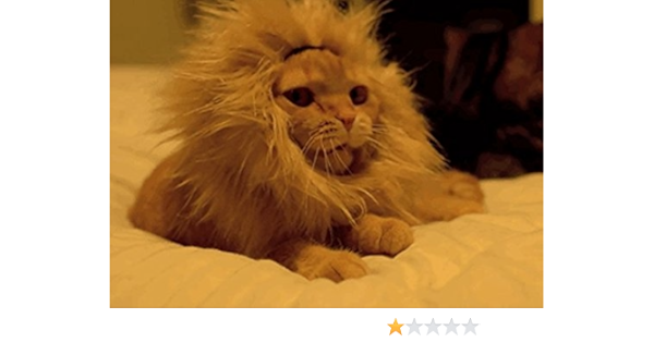 Amazon Co Jp 大人気 犬 猫 ライオン ウイッグ かつら たてがみ 変身 タテガミ耳なし M