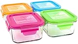 Wean Green Garden Pack Lunch Cubes Glass Food Containers by Wean Green