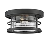 Savoy House Barrett 13" Outdoor Ceiling Light in Black 5-369-13-BK [並行輸入品]