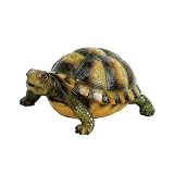 Michael Carr Designs MCD80061 Michael Carr Desert Turtle