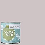 Inspired Eggshell Interior Colorspot Paint Sample, Air .07, 8-oz [並行輸入品]