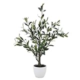 不二貿易 観葉植物 オリーブ 高さ82cm グリーン 52689