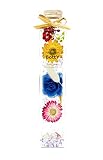 ★さくら貝・デニムローズ・人気のアメジスト入り‼★　人気のBottYハーバリウム‼　四角瓶200ml1本（フラワーデニム・スター）