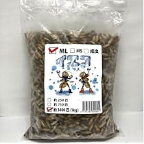 Amazon | [うずらや]豊橋産 冷凍ウズラ 未処理 約75羽 (1ケース25羽入