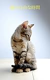 猫の自由な時間