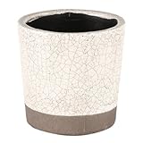 【ダルトン】　COLOR GLAZED POT　IVORY　【DULTON】