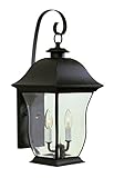 Trans Globe Lighting 4971 BK 2-Light Coach Lantern, Black [並行輸入品]