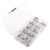 Fenteer 100点セット　ヒューズ　ガラス管　0.2-20A　速断　5x20mm 　専門ケース付き　