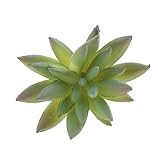 Homyl 13タイプ選べる　造花　良い品質　人工多肉植物　花飾り装飾　DIY人工植物 - タイプ10