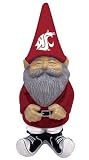ワシントン状態Garden Gnome