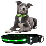 TERUI Lights 犬 光る首輪 ライト LED USB-C 充電式 小型犬 中型犬 大型 夜間 散歩 光る ペット用品 蛍光 犬の首輪 夜散歩 犬ライト (S, グリーン)