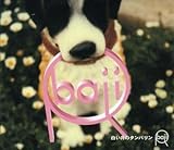 �������̃^���o����