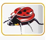 Puzzle Toy Three-dimensional jigsaw puzzle Children's toys 3D DIY TOY Creative diy Hand Paper models