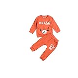 Laparc (ラパルク) アニマル パジャマ アンサンブル ベビー キッズ レッド グリーン オレンジ ( 73cm 80cm 85cm 90cm ) 長袖 (90cm, 橙)