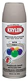 Krylon Decoratorインドア/アウトドアエアゾールスプレーペイント
