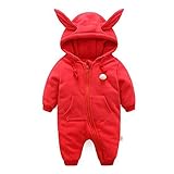 Hzjundasi 新生児 赤ちゃん 男の子 女の子 防風 可愛い ラビット 赤ちゃん 幼児 長袖 コットン ロンパース フード付き 防寒 カバーオール 春秋 アウターウェア 出産祝い 衣装 9-12