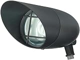 Nuvo Lighting SF76/747 One Light 13 Watt GU24 Compact Fluorescent Light (CFL) Bulb Included 120 Volt
