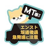 Biijo アニマル MT車です マニュアル車 ステッカー 防水・耐熱（いぬ マグネット）