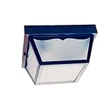 High Quality 4902BK Builder's Choice Collection 2-Light Ceiling Mount Outdoor Light Fixture, Matte B