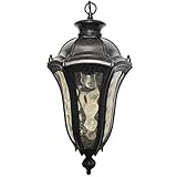 Yosemite Home Decor 326MHIWB Straford 1-Light Outdoor Hanging Pendant with Water Glass Shade, Medium