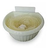 GazeKu Wall Mounted Screw-free Hanging or Freestanding Decorative Flower Planter Plastic Vase Bird N