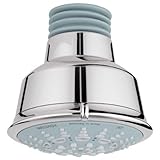 Grohe 27 126 BE0 Relexa 5 Spary Pattern Rustic Shower Head, Sterling Infinity [並行輸入品]
