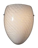 Elk 426-1WS 1-Light Wall Bracket White Swirl Wall Sconce [並行輸入品]