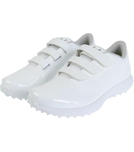 Amazon | ゼット(ZETT) 硬式野球 バット プロステイタス 木製(北米産