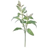 asca 造花 セージ パープルグリーン 全長35cm A-46135-007G