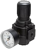 Dixon R73G-2RG Norgren Series Regulator with Gauge, 3/8 Size, 91 SCFM, 1/4 Port Size, 5-150 PSI by D