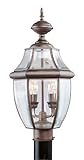 Livex Lighting 2254-58 Outdoor Post with Clear Beveled Glass Shades, Imperial Bronze [並行輸入品]