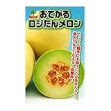 メロン 種 【 おてがるロジたん 】 小袋（10粒）