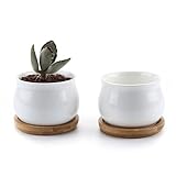 T4U 7CM 陶器鉢 白 ジャーシェイプデザイン 植木鉢 多肉植物 サボテン鉢 花鉢 容器 プランター 2個入り