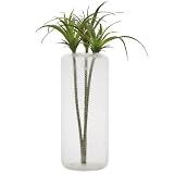 Torre & Tagus 901371 Novis Glass Bubble Vase, Tall, Clear [並行輸入品]