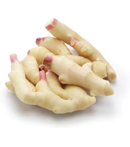 Amazon.co.jp: 高知産 新生姜B品約4キロ ハウス栽培 : 食品・飲料・お酒