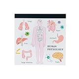 グリーンフラッシュ STUDYHOLIC メモパッド・スクエア 人類生物学 ST-164